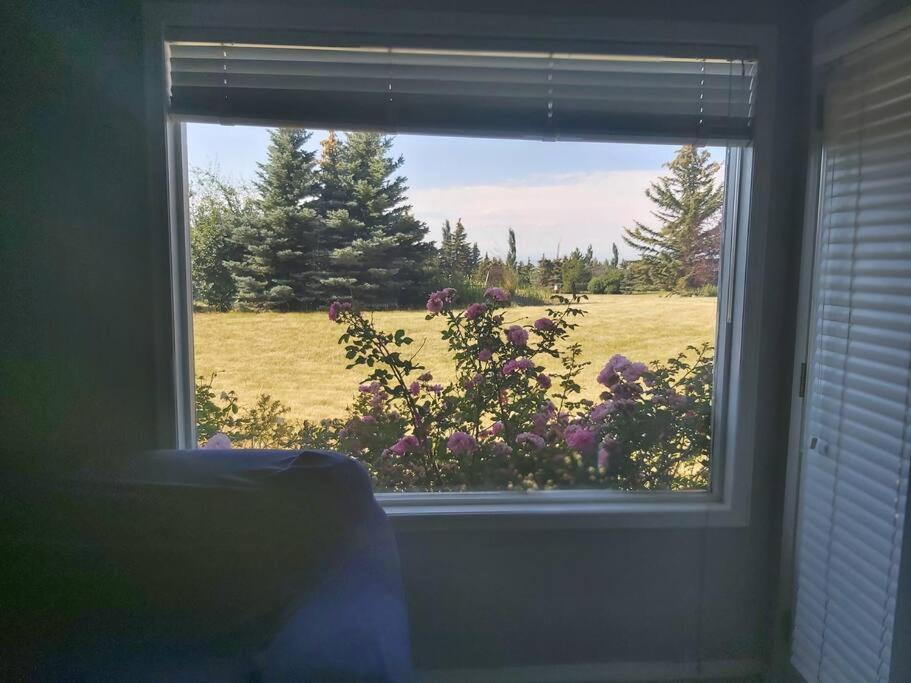 Countryside Escape - Retreat With Panoramic Views