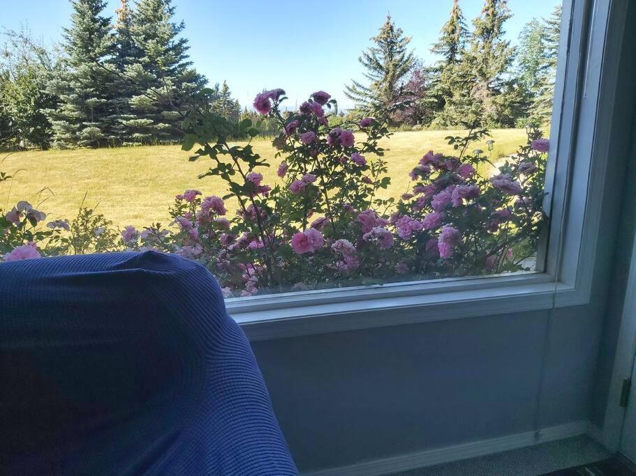 Countryside Escape - Retreat With Panoramic Views Calgary